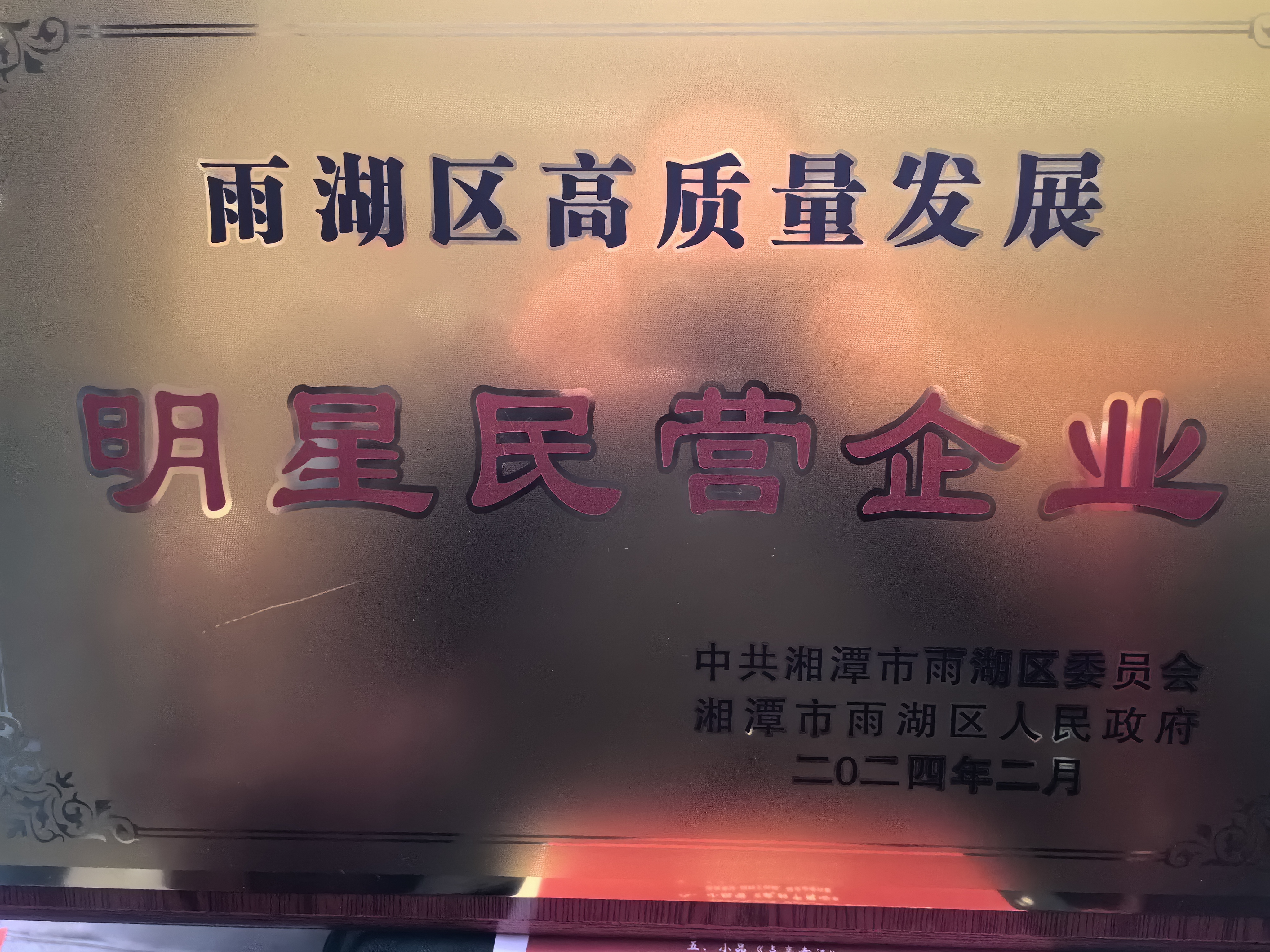 多宝（中国）荣获“雨湖区高质量发展明星民营企业”称号